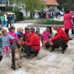 IMG_0419